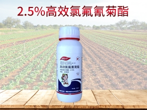 2.5% 功夫水乳劑 高效氯氟氰菊酯